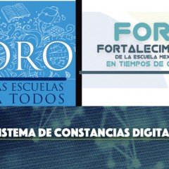 Descarga de Constancias Digitales Foros CdMx y Cancún