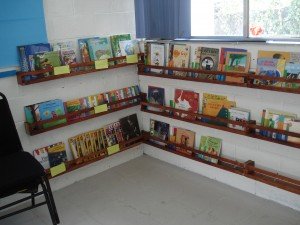 biblioteca-escolar2