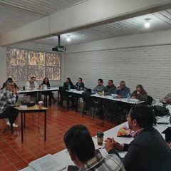 La narrativa como una estrategia para fortalecer el humanismo en la escuela