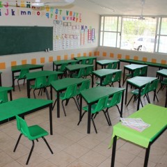 ¿A quién corresponde la formación de los docentes “idóneos” para la Educación Básica?  Escrito por: Guadalupe Albores
