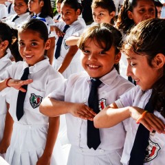 Reforma curricular en primaria y experiencias de gestión. Por Cuauhtémoc Guerrero Araiza